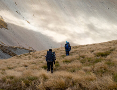 Winter Tramping Along the Two Thumbs Range